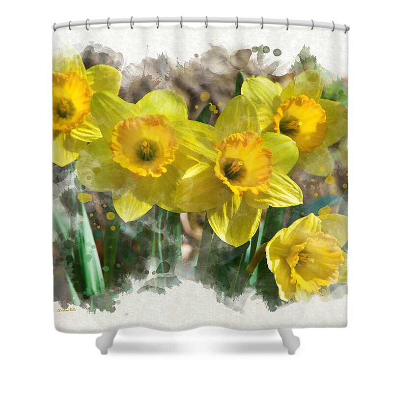 Daffodils Shower Curtain featuring the mixed media Spring Daffodils Watercolor Art by Christina Rollo