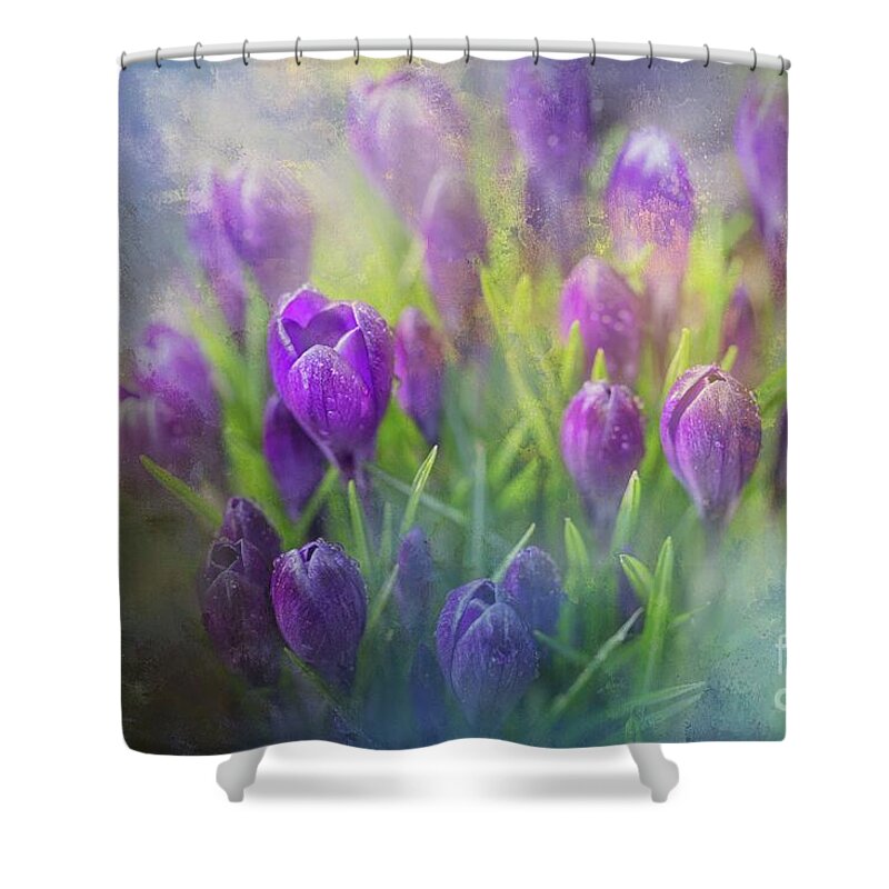 Crocus Shower Curtain featuring the photograph Spring Delight by Eva Lechner