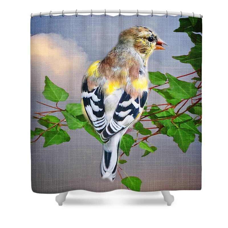 Gold Finch Shower Curtain featuring the photograph Spring Finch by Mary Timman