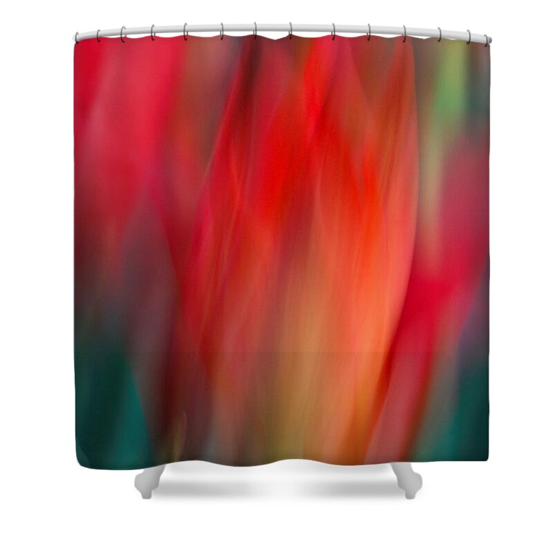 Tulip Shower Curtain featuring the photograph Spring Fling by Neil Shapiro