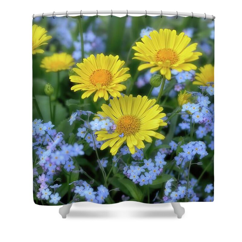 Spring Shower Curtain featuring the photograph Spring Flowers Forget Me Nots and Leopard's Bane by Henry Kowalski
