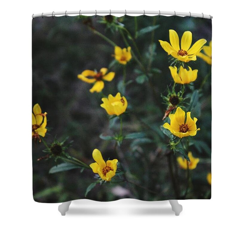 Yellow Shower Curtain featuring the photograph Spring Flowers by Hunter Kotlinski