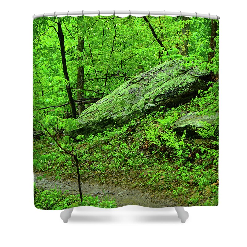 Spring Green In West Virginia Shower Curtain featuring the photograph Spring Green in West Virginia by Raymond Salani III