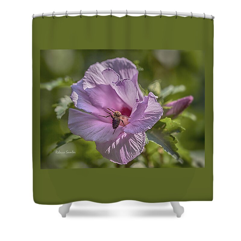 Bee Shower Curtain featuring the photograph Spring Happy Dance by Rebecca Samler