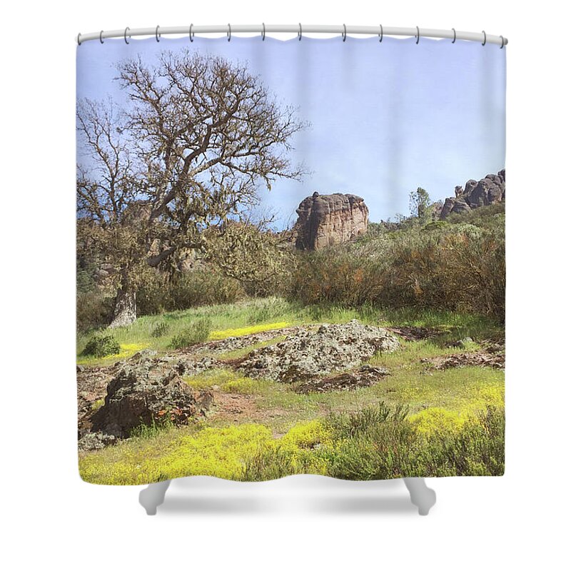 Pinnacles National Park Shower Curtain featuring the photograph Spring in Pinnacles National Park by Art Block Collections