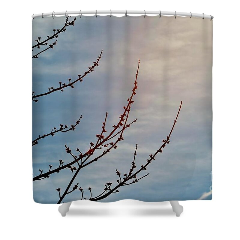 Spring Shower Curtain featuring the photograph Spring in the Air by Don Baker