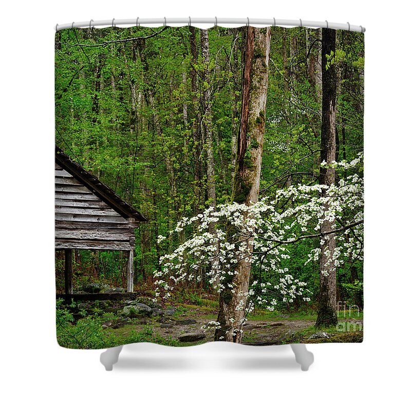 Smokies Shower Curtain featuring the photograph Spring in the woods by Izet Kapetanovic