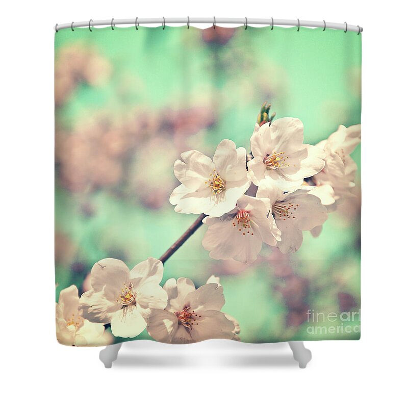 Greetings Cards With Cherries Shower Curtains