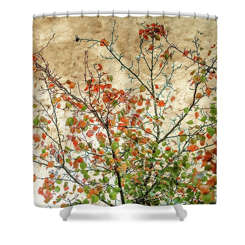 Australia Shower Curtain featuring the photograph Spring Is Gone by Az Jackson