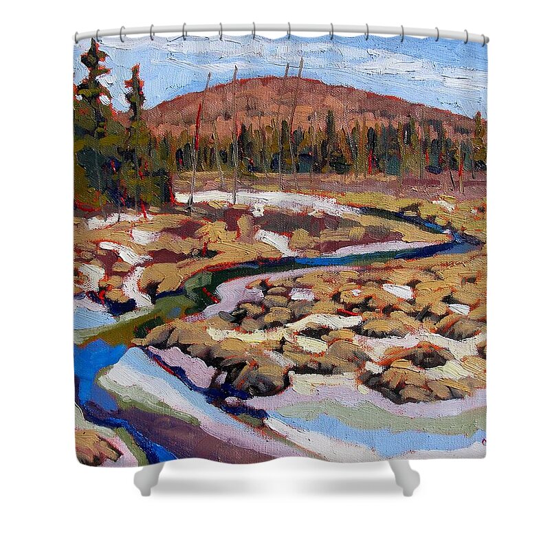 Spring Shower Curtain featuring the painting Spring Marsh Algonquin by Phil Chadwick