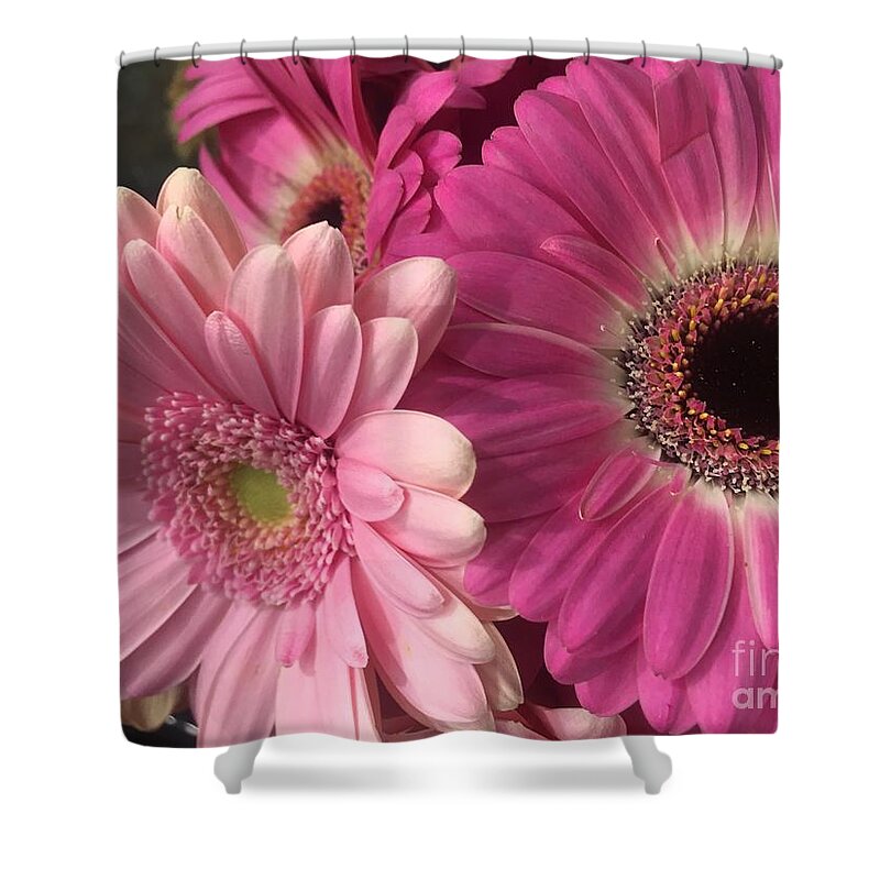 Pink Shower Curtain featuring the photograph Spring N Winter by Nona Kumah