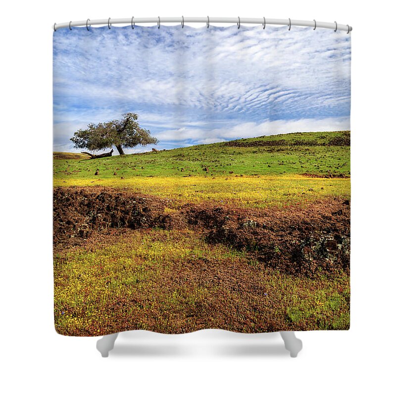 Lava Rock Shower Curtain featuring the photograph Spring On North Table Mountain by James Eddy