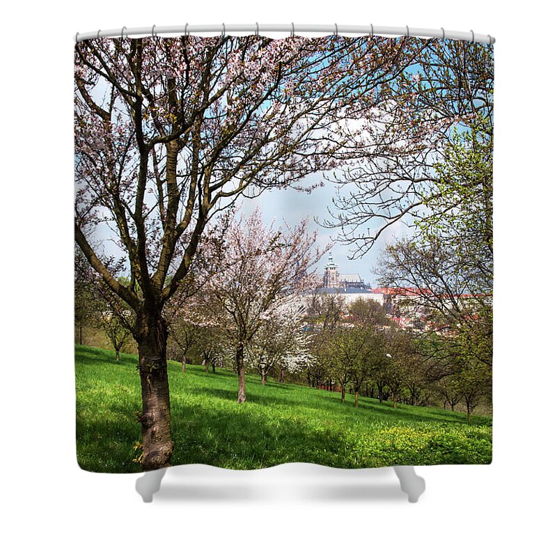 Jenny Rainbow Fine Art Photography Shower Curtain featuring the photograph Spring Orchards and St Vitus Cathedral. Prague by Jenny Rainbow