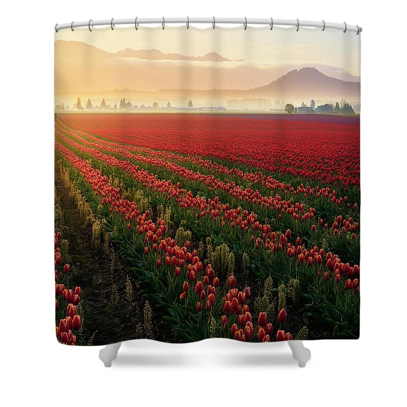 skagit Valley Shower Curtain featuring the photograph Spring Palette by Ryan Manuel