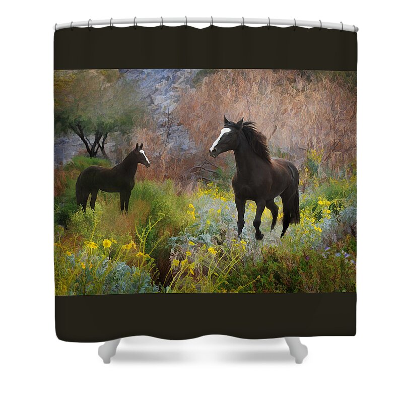Black Horses Shower Curtain featuring the photograph Spring Play by Melinda Hughes-Berland