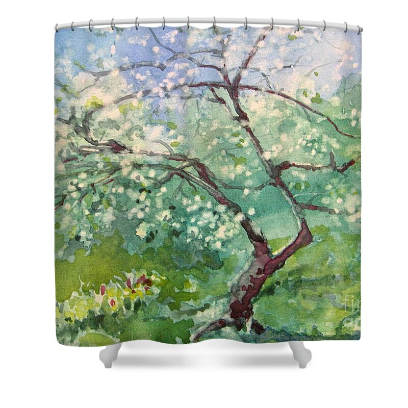 Plum Tree Shower Curtain featuring the painting Spring Plum by Elizabeth Carr