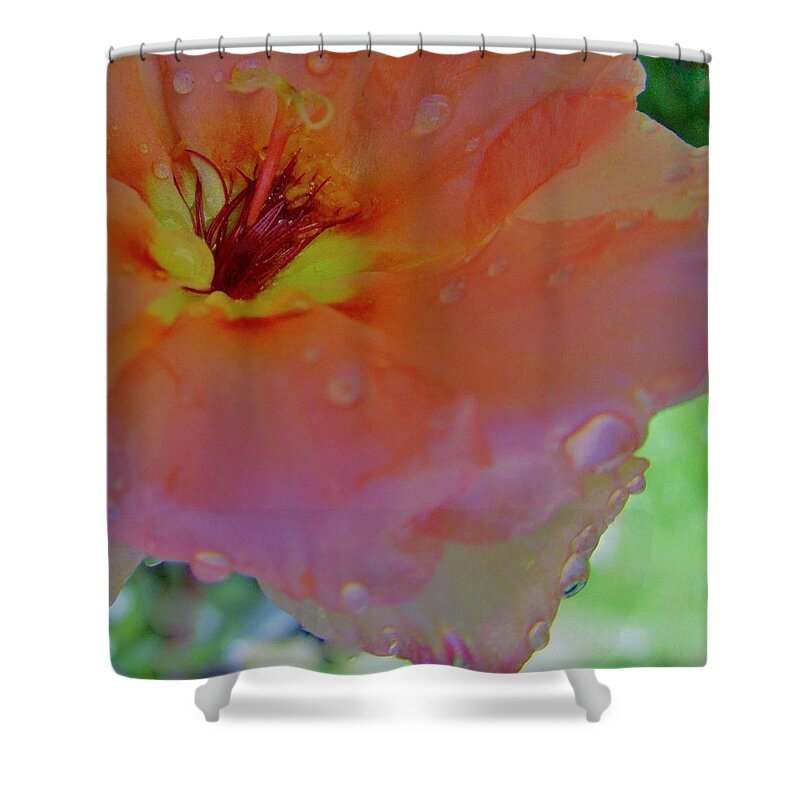 Flower Shower Curtain featuring the photograph Spring Rain by Sharon Ackley