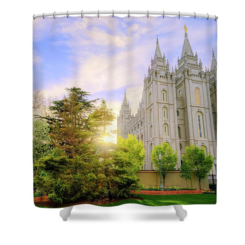 Salt Lake Shower Curtain featuring the photograph Spring Rest by Chad Dutson