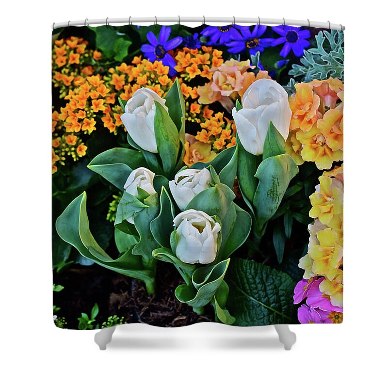 Spring Flowers Shower Curtain featuring the photograph Spring Show 17 Happy Spring 2 by Janis Senungetuk