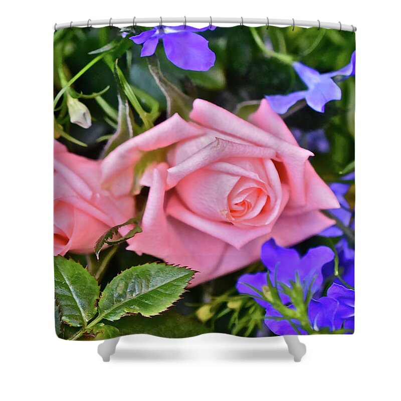 Roses Shower Curtain featuring the photograph Spring Show 17 Miniature Roses by Janis Senungetuk