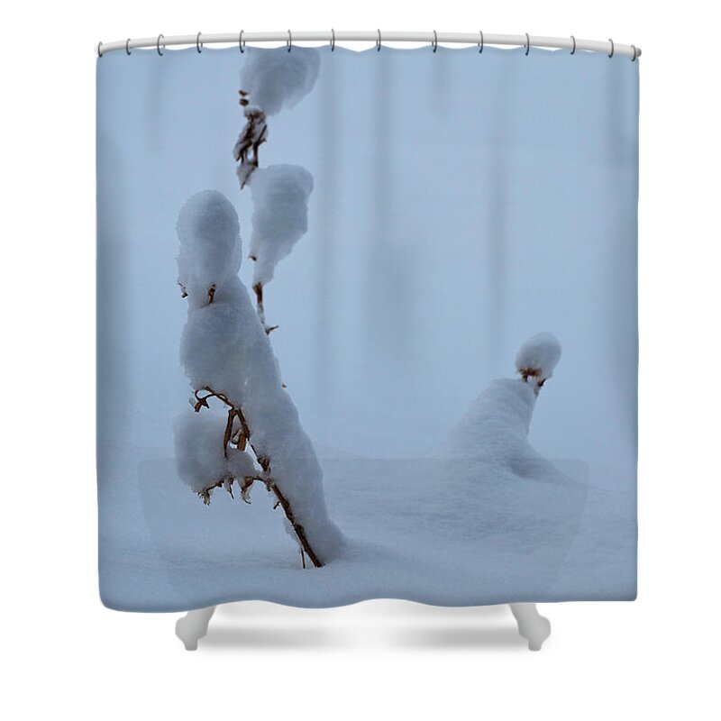 Landscape Shower Curtain featuring the photograph Spring Snow by Ron Cline