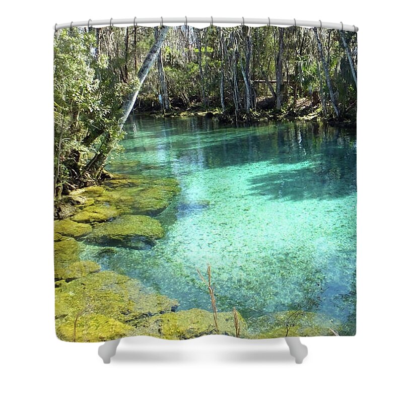 Three Sisters Springs Shower Curtain featuring the photograph Spring Three of Three Sisters Springs by Judy Wanamaker