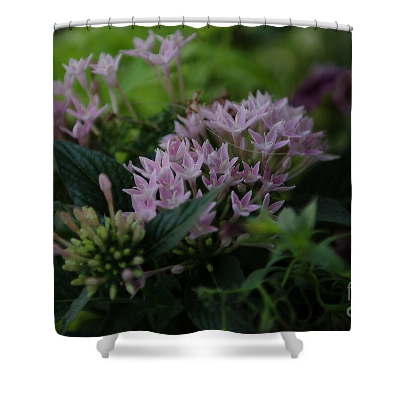 Flowers Shower Curtain featuring the photograph Spring Time Basket of Flowers by Dale Powell