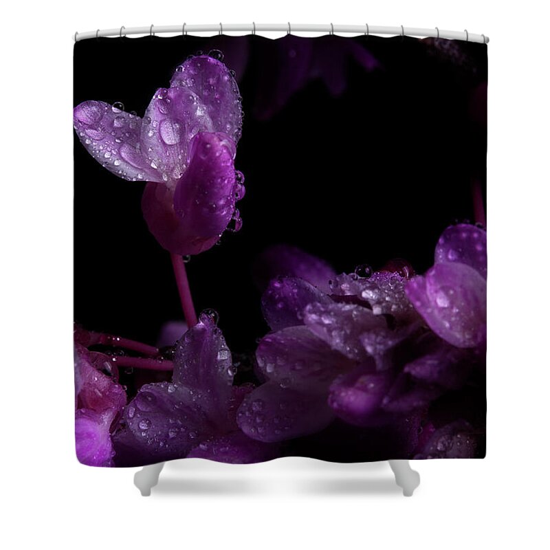 Redbud Shower Curtain featuring the photograph Spring Time Redbud 5 by Mike Eingle