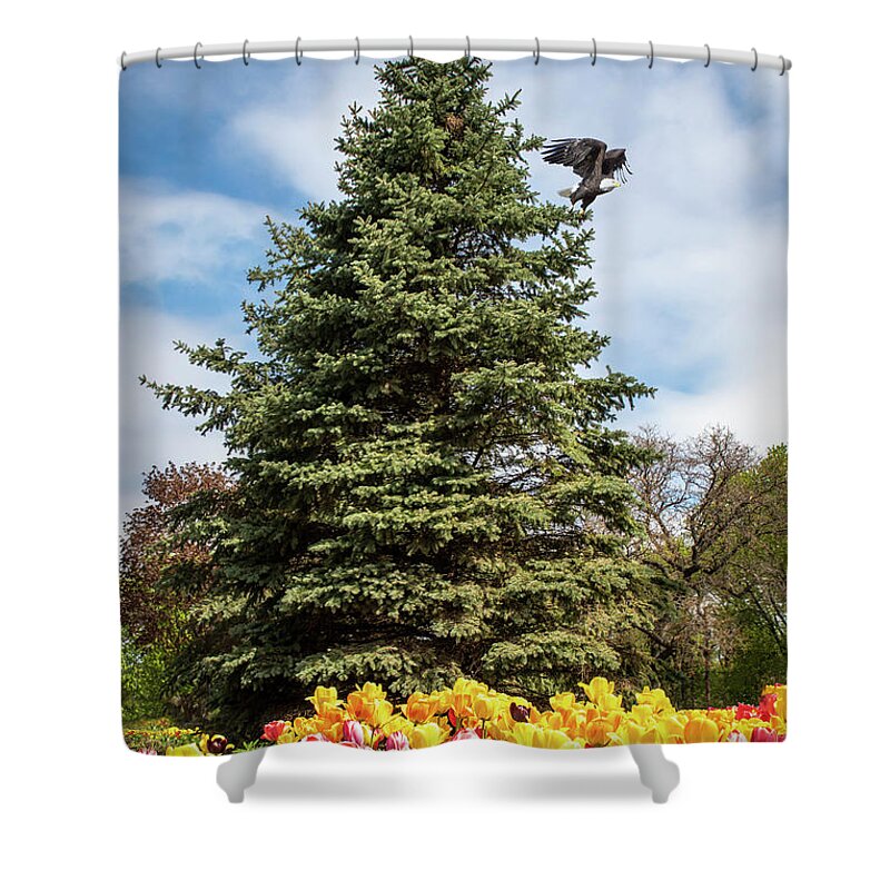 Tulips Shower Curtain featuring the photograph Spring Tulip Field #12 - Eagle Flight by Patti Deters