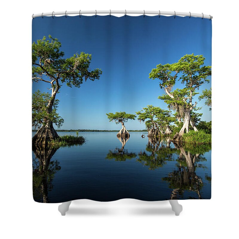 Florida Shower Curtain featuring the photograph Spring vistas at Lake Disston by Stefan Mazzola