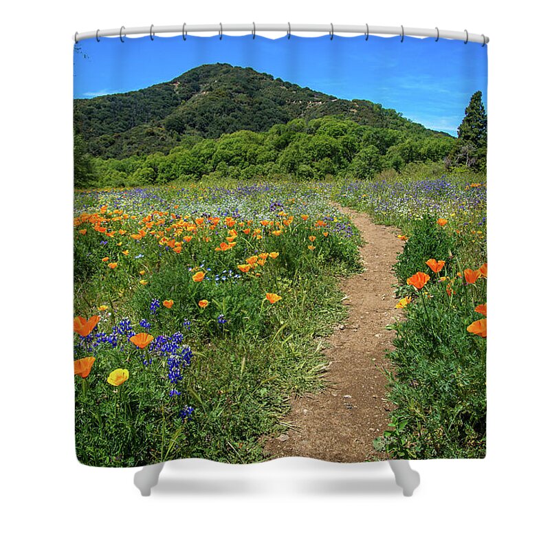 Wildflowers Shower Curtain featuring the photograph Spring Wildflower Pathway by Lynn Bauer