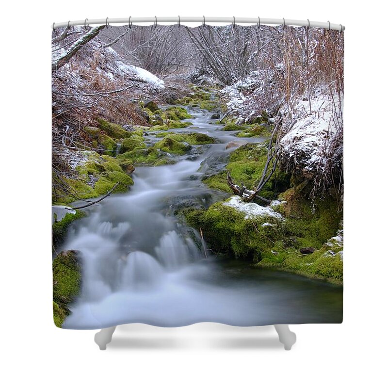 Cold Shower Curtain featuring the photograph Springing Forth by David Andersen