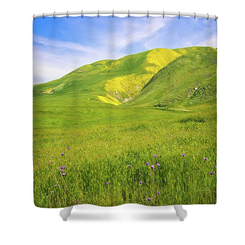 Wind Wolves Shower Curtain featuring the photograph Spring's Gold by Lynn Bauer