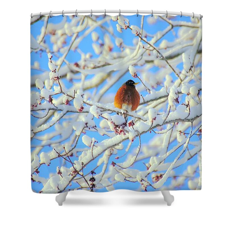 Winter Shower Curtain featuring the photograph Spring's on the Way by Merle Grenz