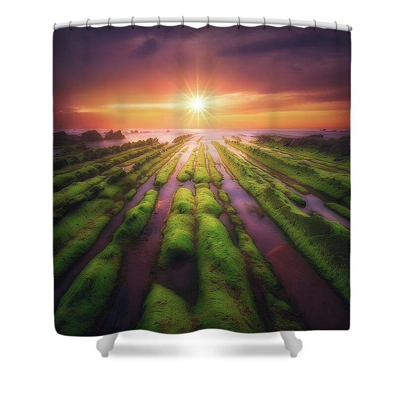 Moss Shower Curtain featuring the photograph Springtime in Barrika by Mikel Martinez de Osaba