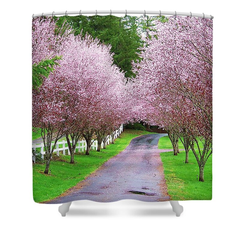 Pink Blossoms Shower Curtain featuring the photograph Spring Mystery by Julie Rauscher