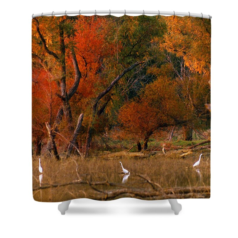 Landscape Shower Curtain featuring the photograph Squaw Creek Egrets by Steve Karol