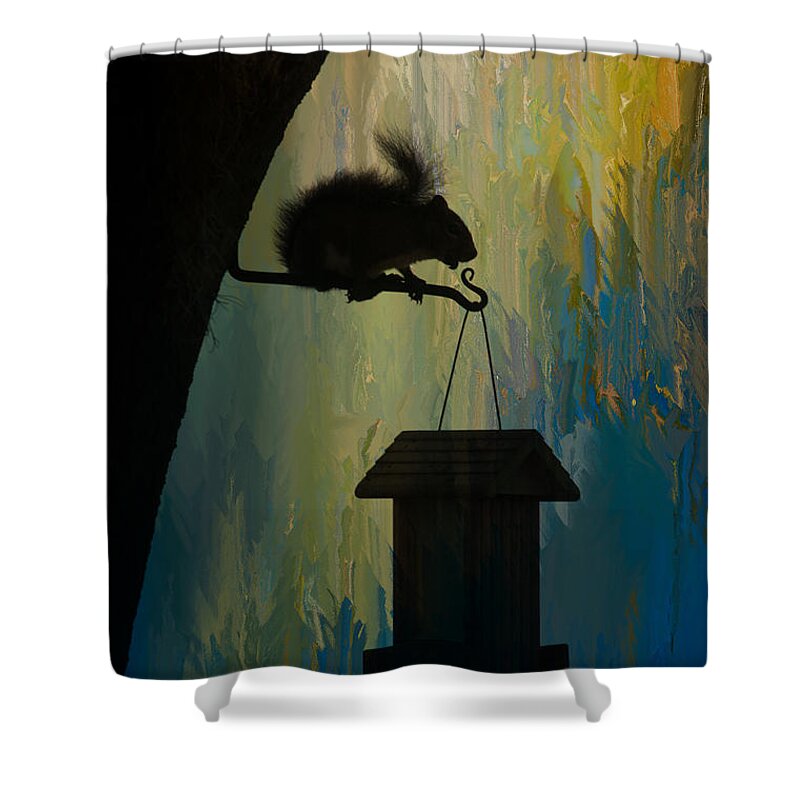 Squirrel Eat Tree Feeder Water Animal Shadow Shower Curtain featuring the photograph Squirrel by Carolyn D'Alessandro