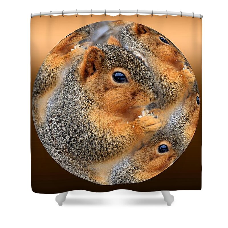 Squirrel Shower Curtain featuring the photograph Squirrel in a ball no.3 by Rick Rauzi