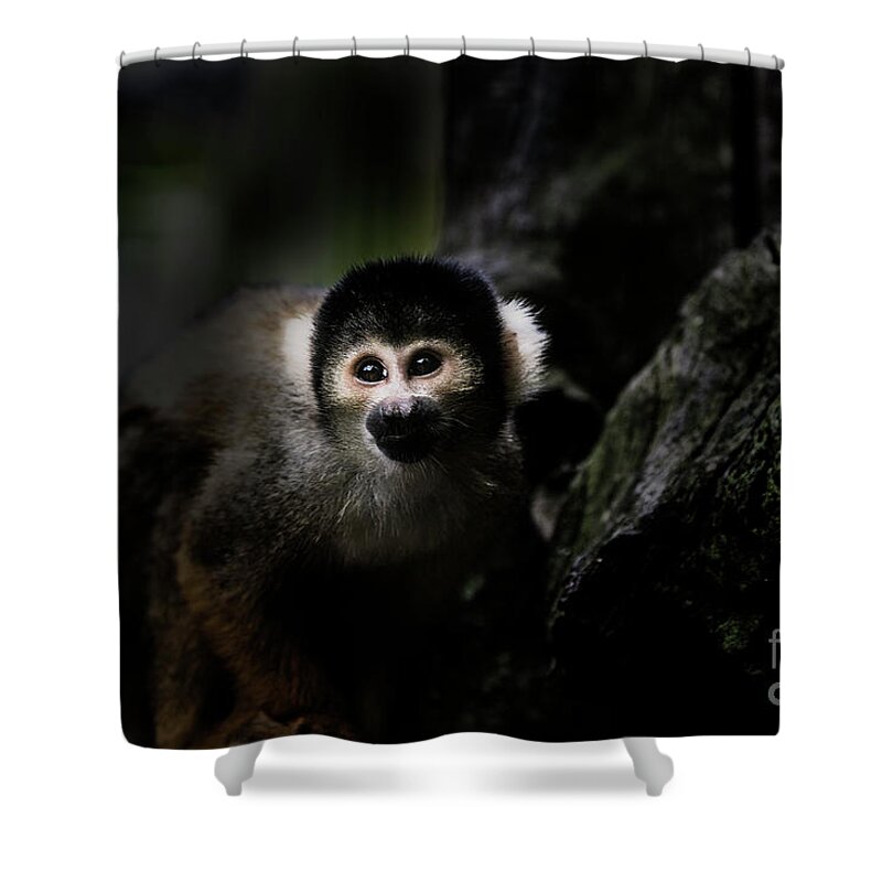 Squirrel Monkey Shower Curtain featuring the photograph Squirrel monkey by Sheila Smart Fine Art Photography