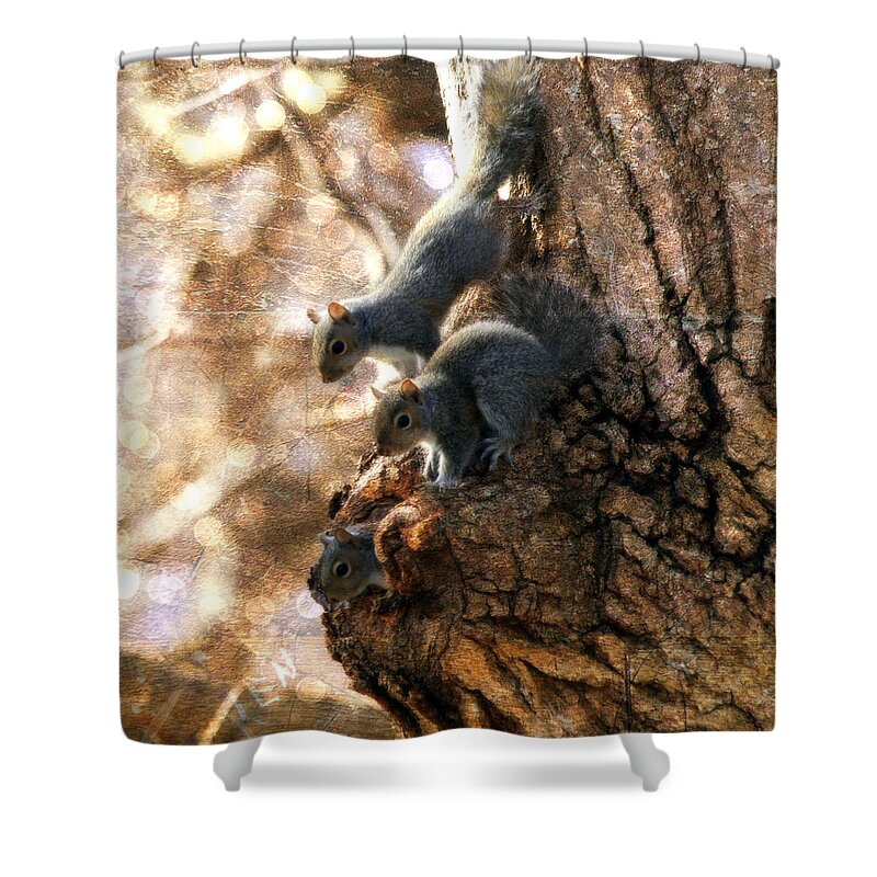 Squirrels Shower Curtain featuring the photograph Squirrels - A Family Affair XII by Aurelio Zucco