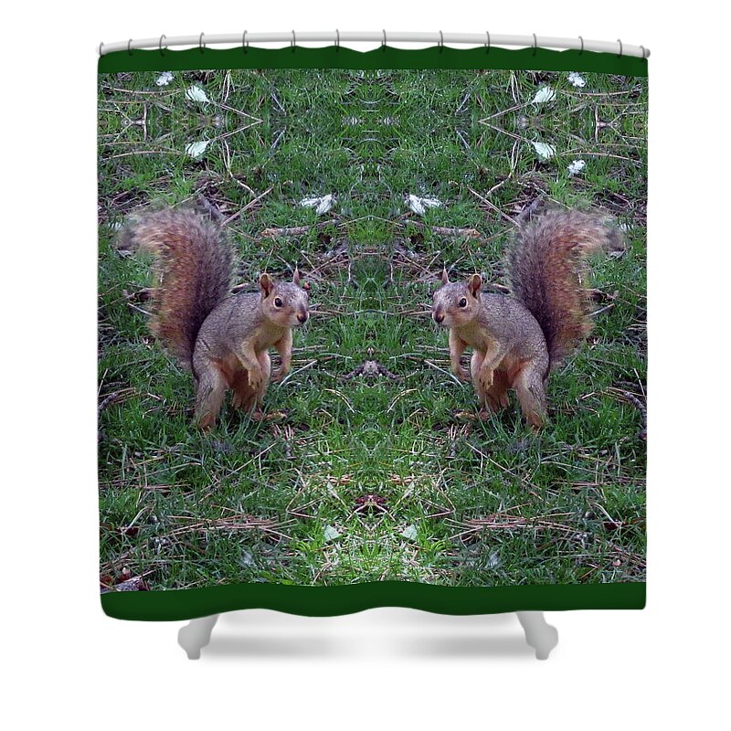 Squirrels Shower Curtain featuring the digital art Squirrels With Question Mark Tails by Julia L Wright
