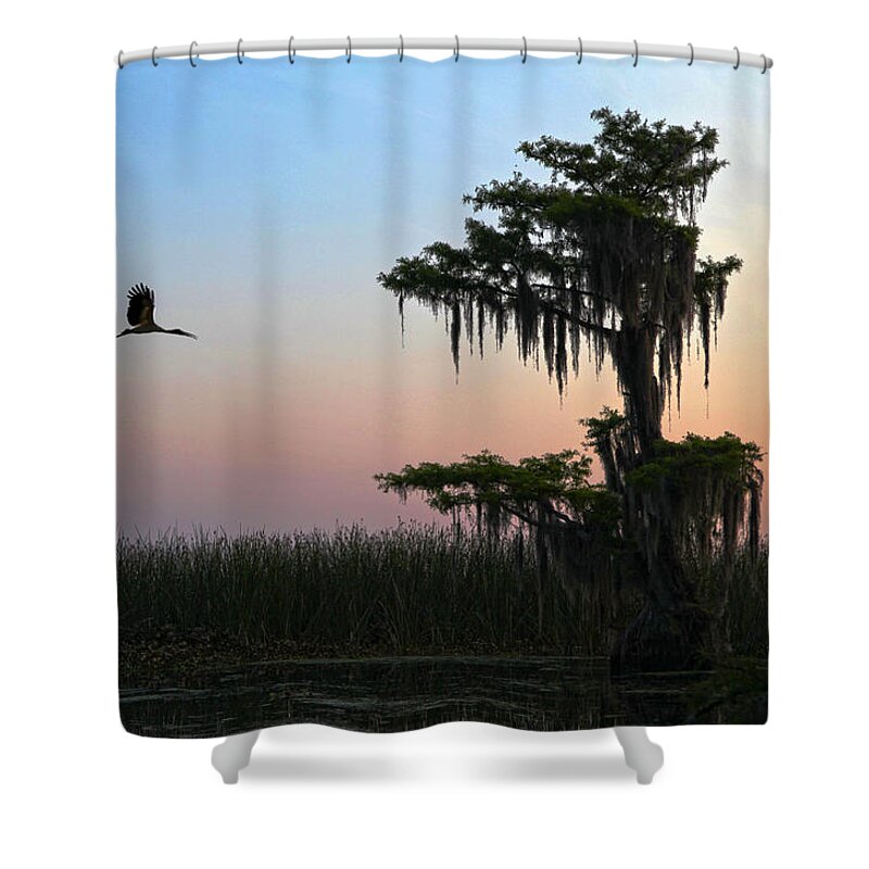 Tree Shower Curtain featuring the photograph St Augustine Morning by Robert Och