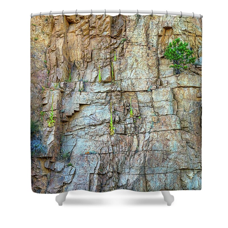 Cliff Shower Curtain featuring the photograph St Vrain Canyon Wall by James BO Insogna