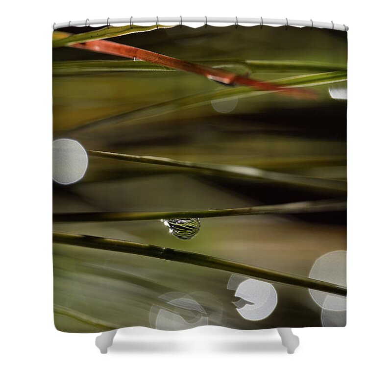 Water Drop Shower Curtain featuring the photograph Stability Among Chaos by Mike Eingle
