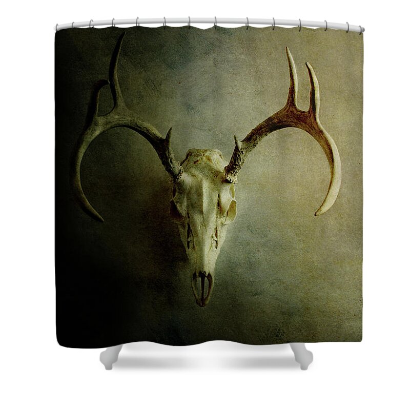 Deer Shower Curtain featuring the photograph Stag Skull by Stephanie Frey