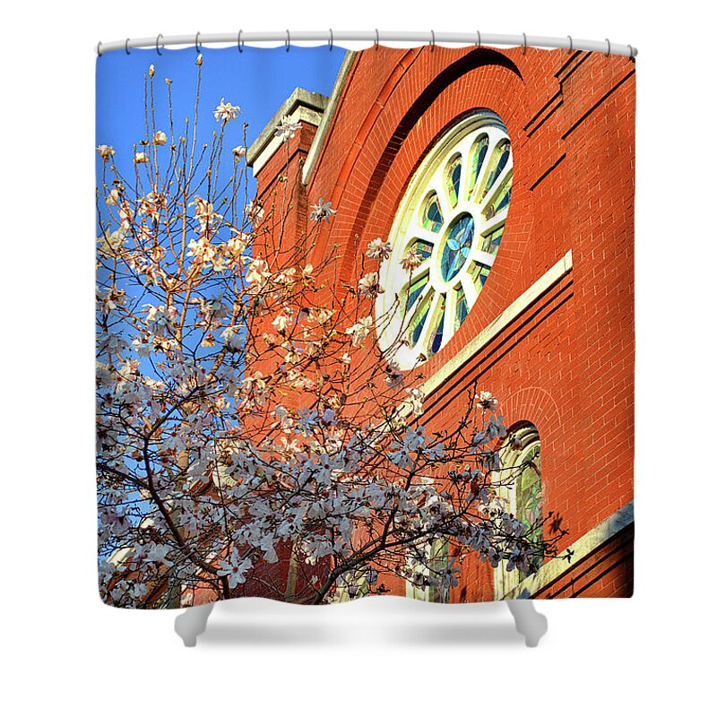 Dogwood Shower Curtain featuring the photograph Stained Glass and Dogwoods by Jason Bohannon