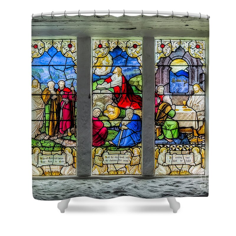 Stmary Shower Curtains