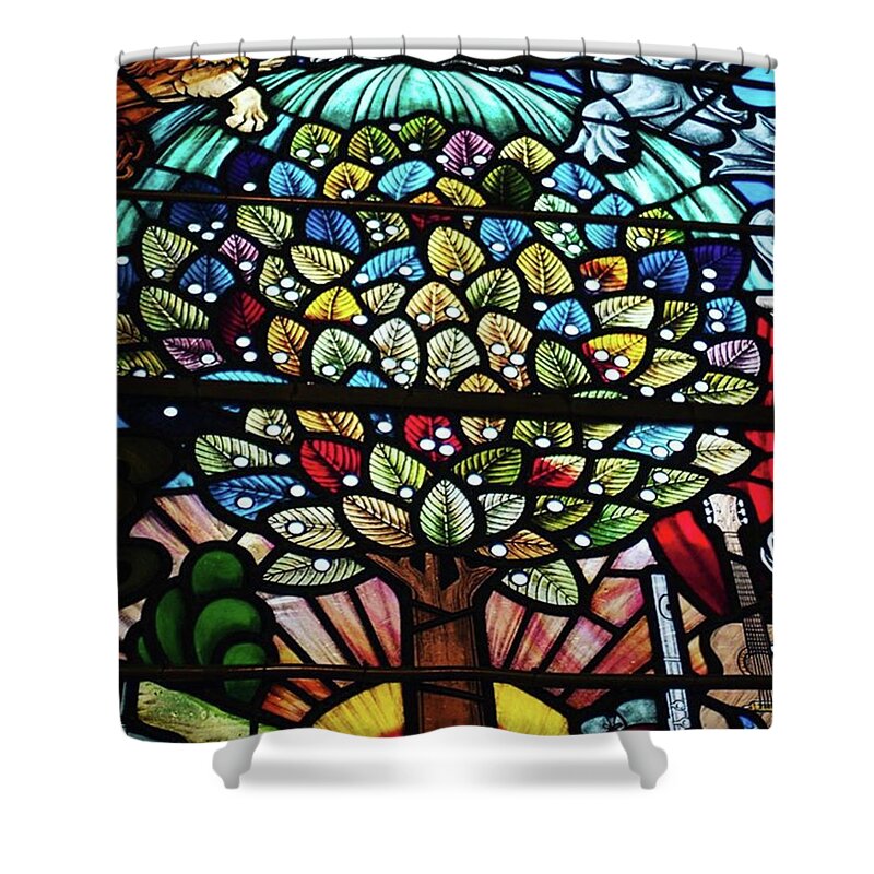  Shower Curtain featuring the photograph Stained Glass Window by Aleck Cartwright