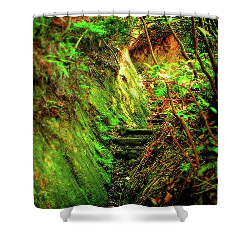 Mountain Shower Curtain featuring the photograph Stairs in the mountains by Ippei Uchida